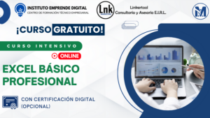 Excel Básico Profesional